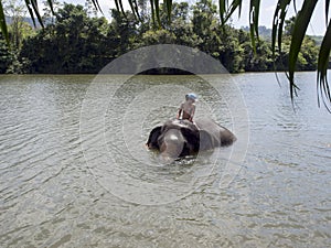 Bathing with an elephant