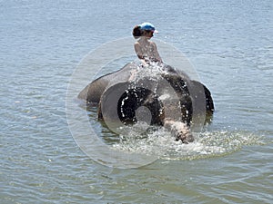 Bathing with an elephant