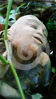 Bathing in the garden