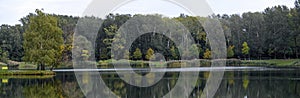 Bathing pond with wooded brink