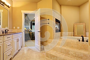 Bathroom with bath tub and fireplace