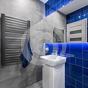 Bathroom in blue and grey