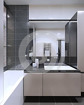 Bathroom contemporary style