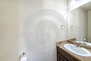 Bathroom corner with vanity sink and wall mount tissue paper roll