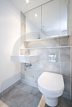 Bathroom detail with toilet and wash basin