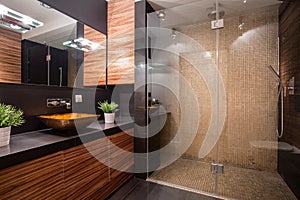 Bathroom with fancy shower