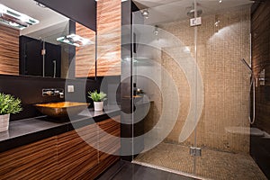 Bathroom with fancy shower photo