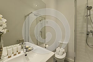Bathroom with glass walk-in shower, frameless rectangular mirrors,
