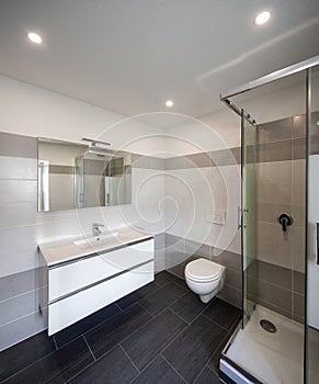 Bathroom with gray tiles and nobody inside