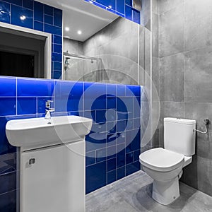 Bathroom in grey and blue