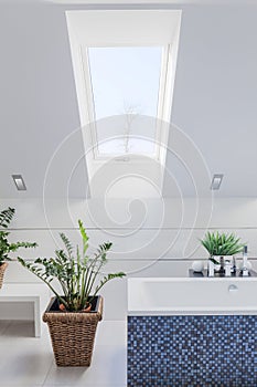 Bathroom with inclined wall photo