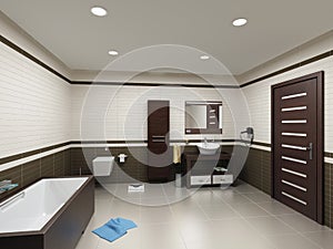 Bathroom interior