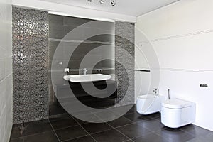 Bathroom interior