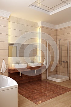 Bathroom interior