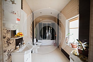 Bathroom interior. Bathroom with large shower cubicle, toilet, bidet, washbasin.