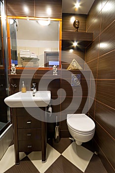 Bathroom interior with brown tiles