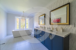 Bathroom Interior Design