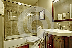 Bathroom interior with glass shower