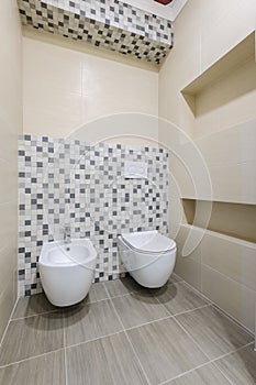 Bathroom interior, toilet and bidet