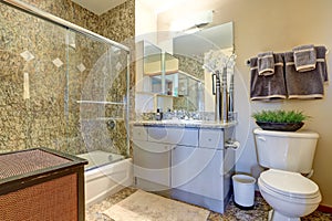 Bathroom interior with vanity cabinet and granite counter top