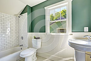 Bathroom interior with white and green wall trim