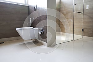 Bathroom in a modern design home.