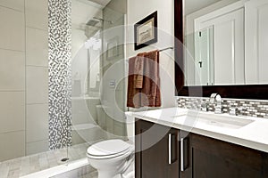 Bathroom modern interior with dark hardwood cabinets and glass door shower