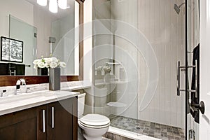 Bathroom modern interior with dark hardwood cabinets and large m