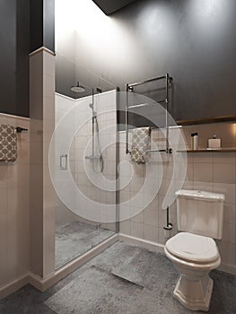 Bathroom modern loft style, 3D render