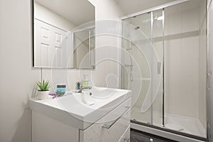 bathroom with one-piece white porcelain sink on lacquered wood