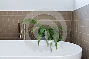 Bathroom with plant
