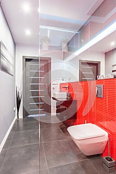Bathroom with red tiled wall