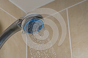 Bathroom shower head