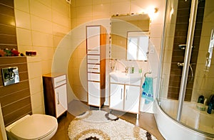 Bathroom shower interior
