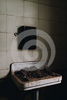 Bathroom Sink + Bird Poop - Abandoned Creedmoor State Hospital - New York