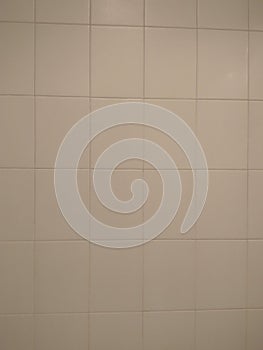 Bathroom Tile