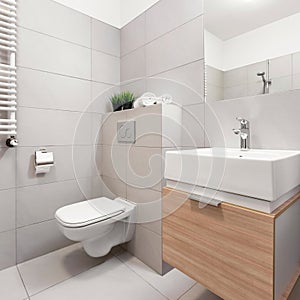 Bathroom with toilet and basin