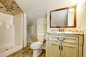 Bathroom with vaulted ceiling. Vanity cabinet and mirror