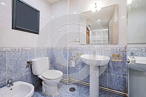 Bathroom with walk-in shower with white-edged glass, frameless, beveled-edge mirror and half-height blue tiles