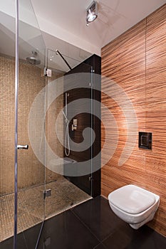 Bathroom with wall imitating wood