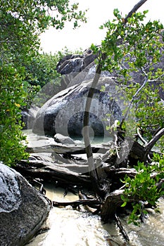 The Baths beach Virgin Gorda photo