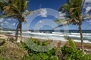 Bathsheba beach Barbados