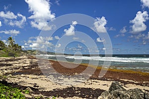 Bathsheba beach Barbados