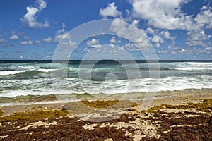 Bathsheba beach Barbados