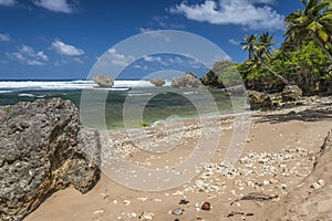 Bathsheba beach Barbados West Indies photo