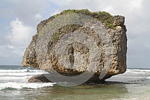 Bathsheba Beach rock close up - Barbados photo