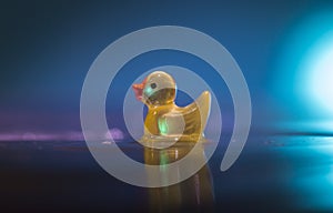 Bathtime rubber ducky