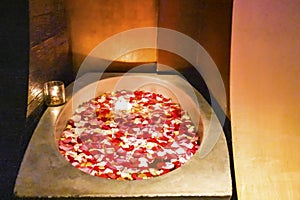 Bathtub with Candle and Rose Petals