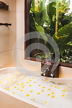 Bathtub with foam bubbles and yellow flowers with tropical garden view outside