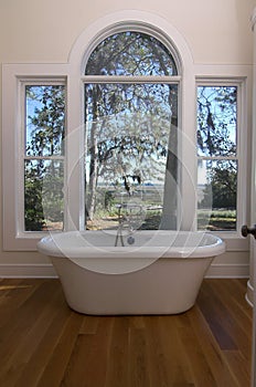 Bathtub with a view